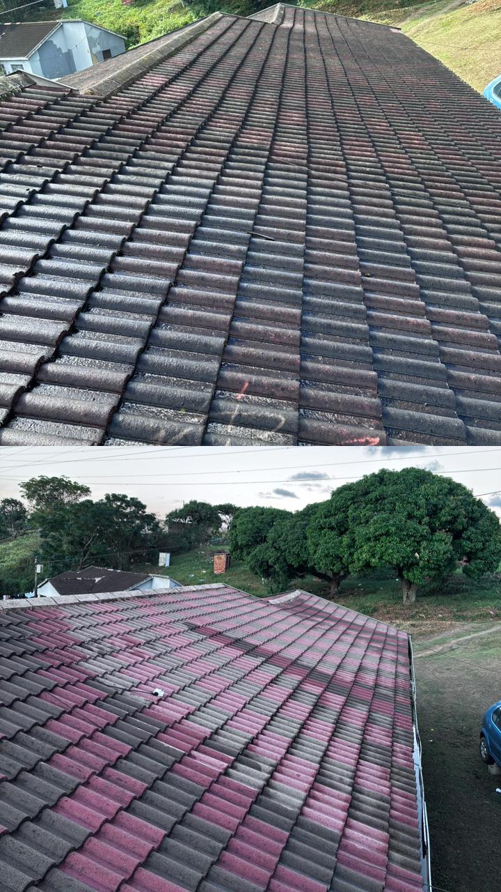 Roof Cleaning — Before & After
