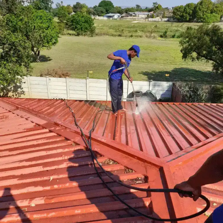 Metal Roof Pressure Wash
